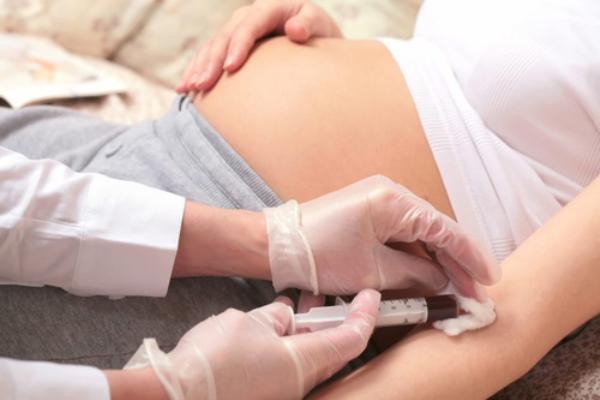 забор крови на сифилис у беременной