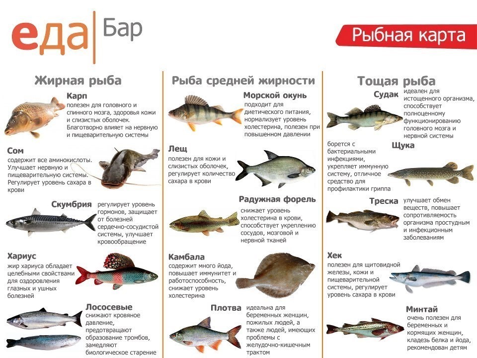 польза разного вида рыбы