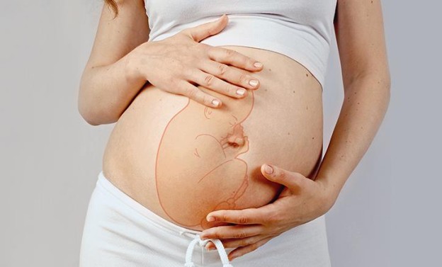 Положение и предлежание плода при беременности: когда стоит волноваться?