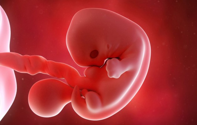 Зачем нужно культивирование эмбрионов в ЭКО