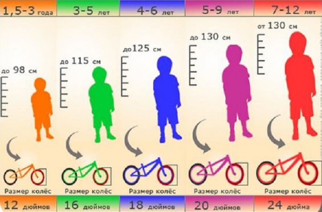 Детские велосипеды от 3 лет - обзор лучших моделей
