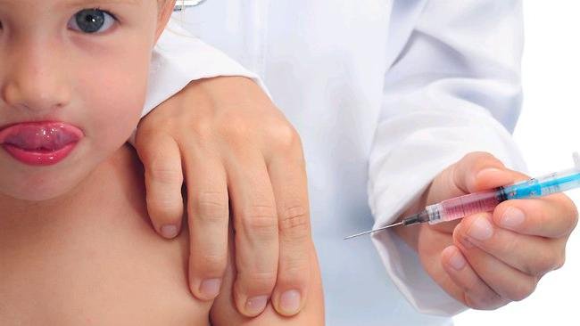 Определение сроков вакцинации