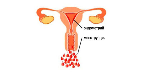 Менструация с белыми сгустками thumbnail