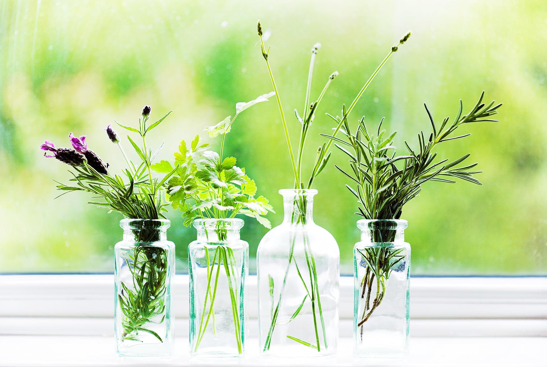 растения в стеклянных вазах